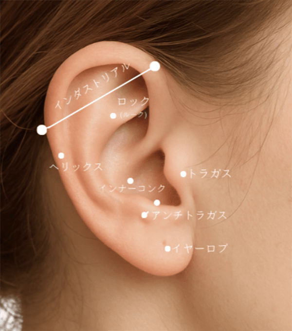 当院で対応しているピアス部位